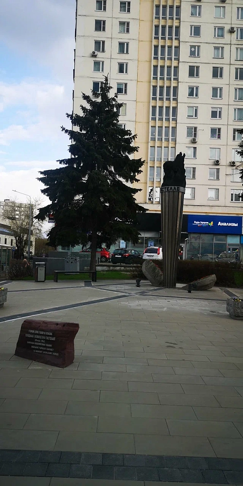 Памятник Герою Советского Союза Гастелло Николаю Францевичу - 6