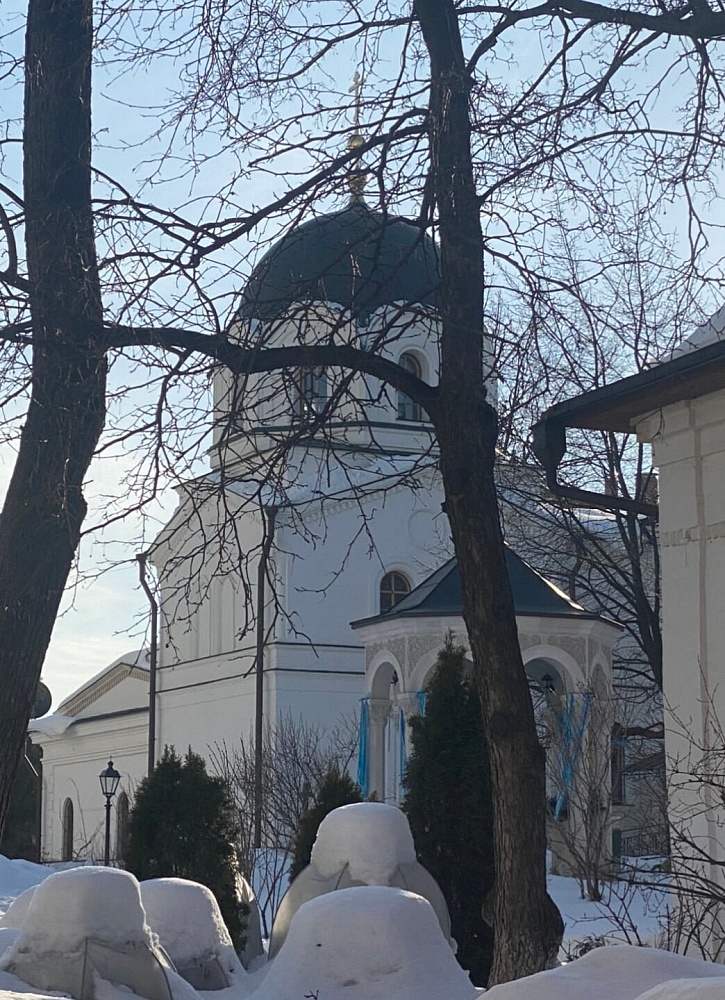 Храм Духа Святого Сошествия в Зачатьевском монастыре - 5