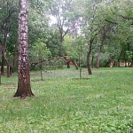 Локомотив - 5