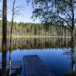 Глэмпинг Forest Lake - 7