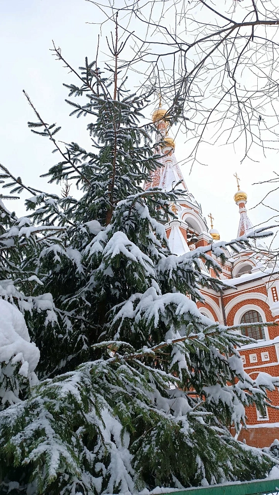 Храм Преподобного Серафима Саровского в Филёвской пойме - 3