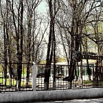 Локомотив - 6