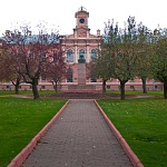 Тополь Петра l - 2