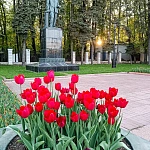 Памятник В.Р. Вильямсу - 3