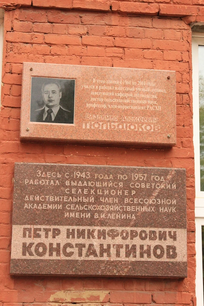 Памятник И. А. Стебут - 3