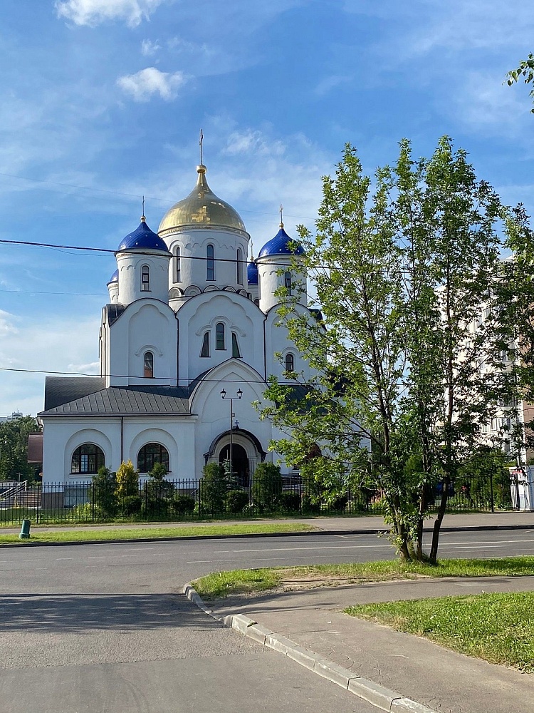 Церковь Введения во Храм Пресвятой Богородицы - 5