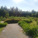 Храм в честь Иконы Божией Матери Почаевской - 6