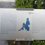 Памятник Николаю Старостину в Лужниках - 5