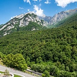 Отель Forrest Terrace - 2