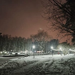 Парк «Ёлочки» - 3