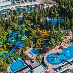 МИНДАЛЬНАЯ РОЩА - 2