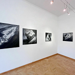 Krokin Gallery - 1