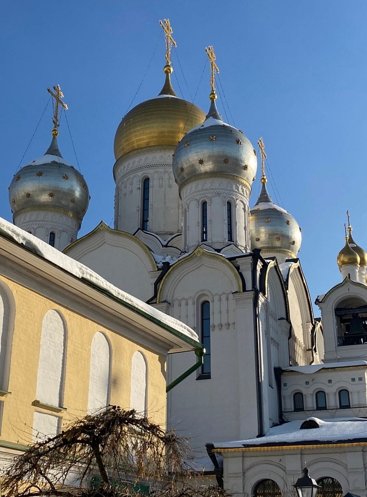 Собор Анны Праведной Зачатия в Зачатьевском монастыре - 6