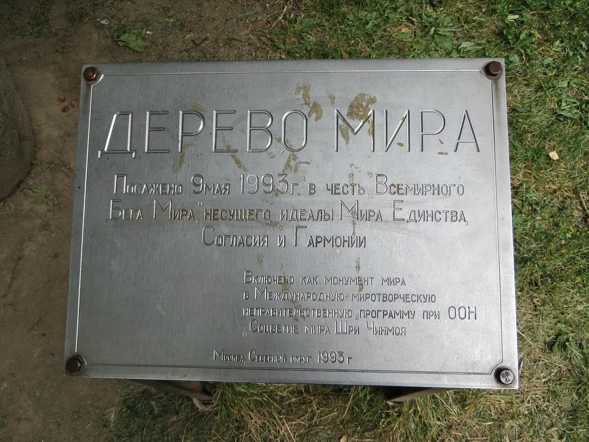 Дерево Мира - 4