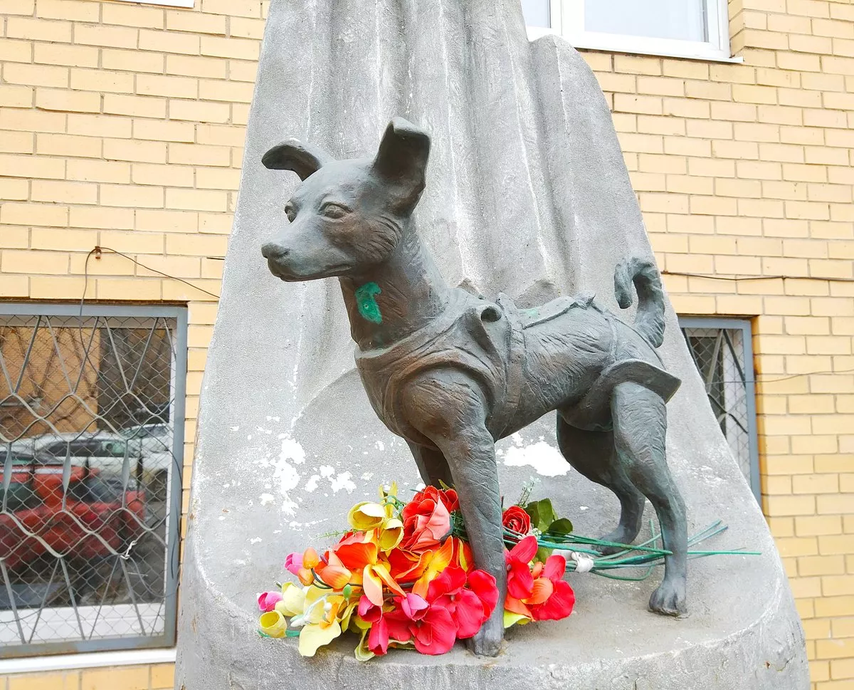 Памятник собаке Лайке - 3